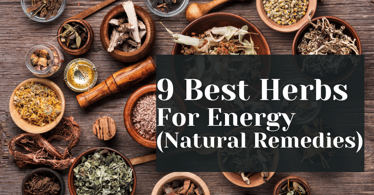 9 Best Herbs For Energy (Natural Remedies) Alive Market