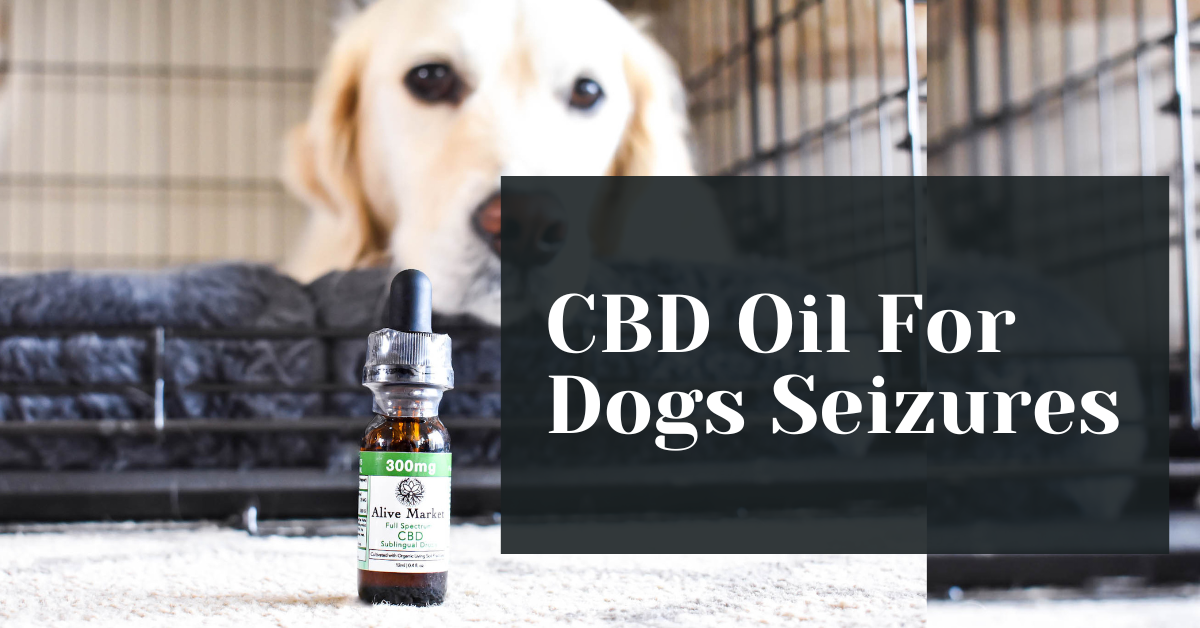CBD For Dog Seizures What You Need to Know Alive Market