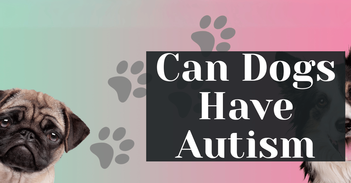 Can Dogs Have Autism Alive Market