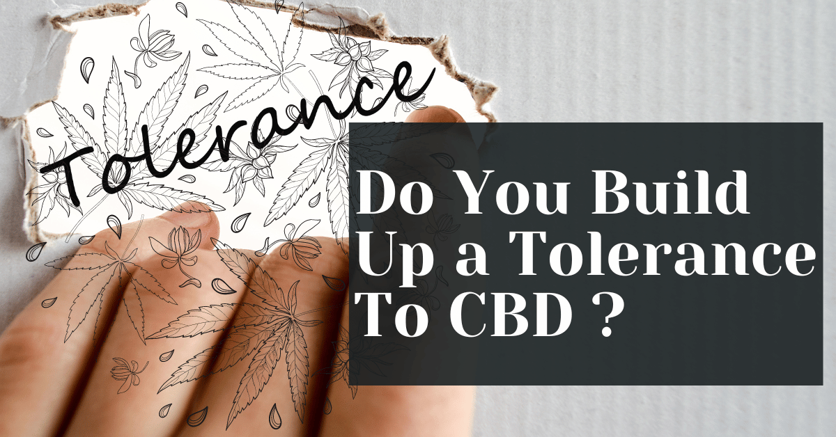 Do You Build Up a Tolerance To CBD ? Alive Market CBD