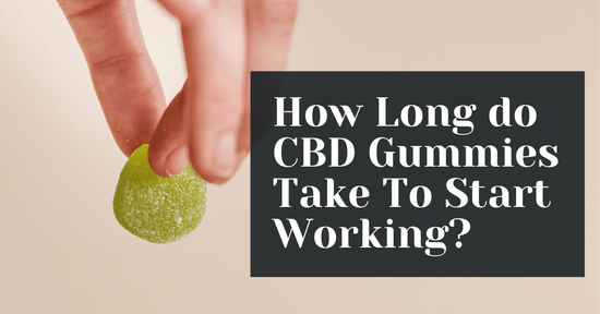 This Is How Long CBD Gummies Take To Start Working (CBD Edibles Explained)