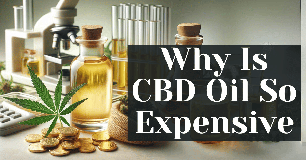 Why Is CBD Oil So Expensive Alive Market CBD
