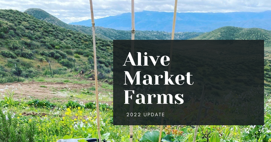 7 Things You Might Not Know About Alive Market Farms (2022 Update)