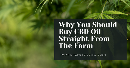 9 Reasons Why You Should Buy CBD Oil Straight From The Farm (What Is Farm To Bottle CBD?)