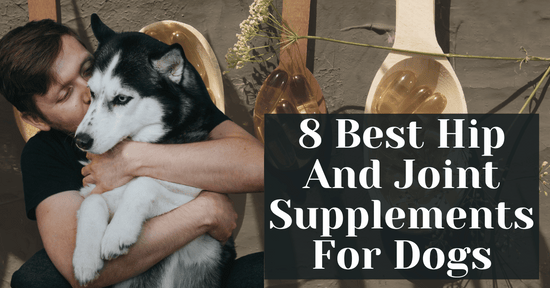 8 Best Hip And Joint Supplements For Dogs