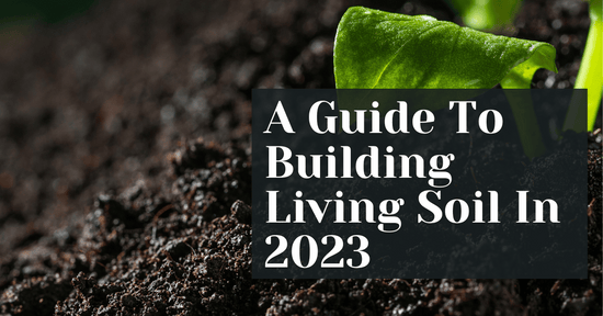 A Guide To Building Living Soil In 2023