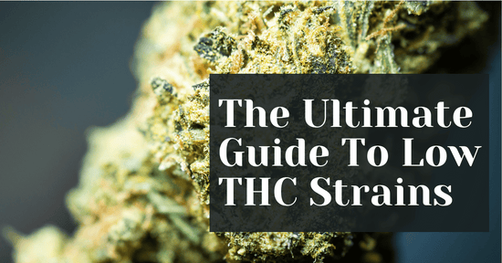 The Ultimate Guide To Low THC Strains