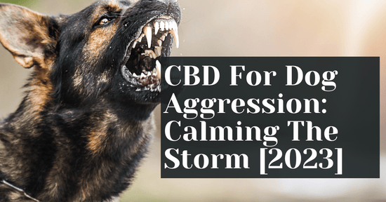 CBD For Dog Aggression: Calming The Storm [2023]