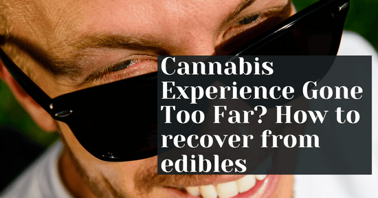 Cannabis Experience Gone Too Far? How To Recover From Edibles