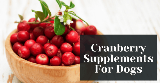 Cranberry Supplements For Dogs