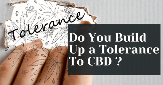 Do You Build Up a Tolerance To CBD ?