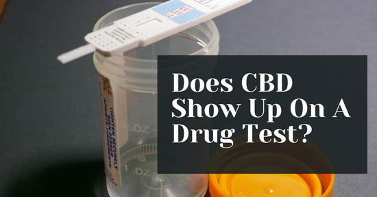 Does CBD Show Up On A Drug Test? (2022 Update)