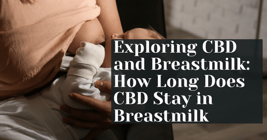 Exploring CBD and Breastmilk: How Long Does CBD Stay in Breastmilk
