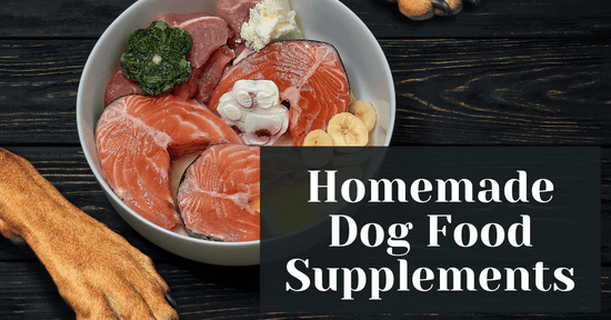 Homemade Dog Food Supplements