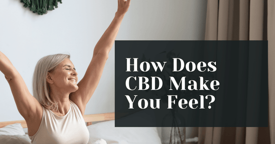 How Does CBD Make You Feel? (CBD Effects Explained)