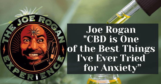 Joe Rogan "CBD is One of the Best Things I've Ever Tried for Anxiety"