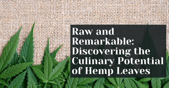 Discovering the Remarkable Potential of Hemp Leaves