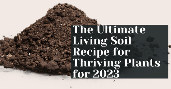 The Ultimate Living Soil Recipe for Thriving Plants for 2023