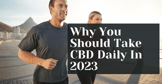 Why You Should Take CBD Daily In 2023