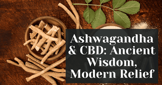 Ashwagandha & CBD: Ancient Wisdom, Modern Relief