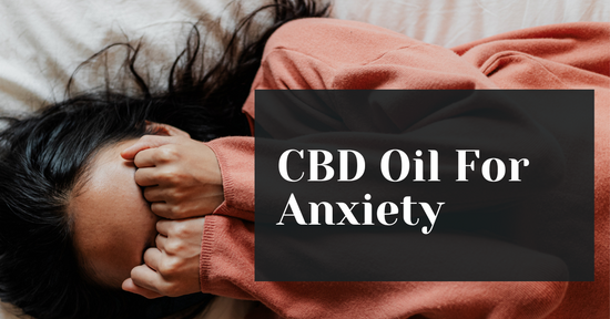 How To Use CBD Oil For Anxiety