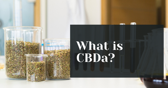 What Is CBDa (Benefits of CBDa)